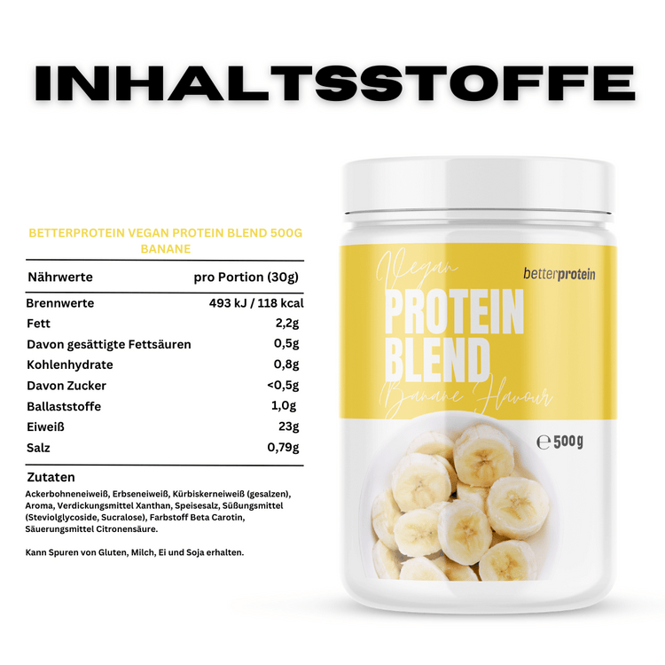 Vegan Protein Blend 500g