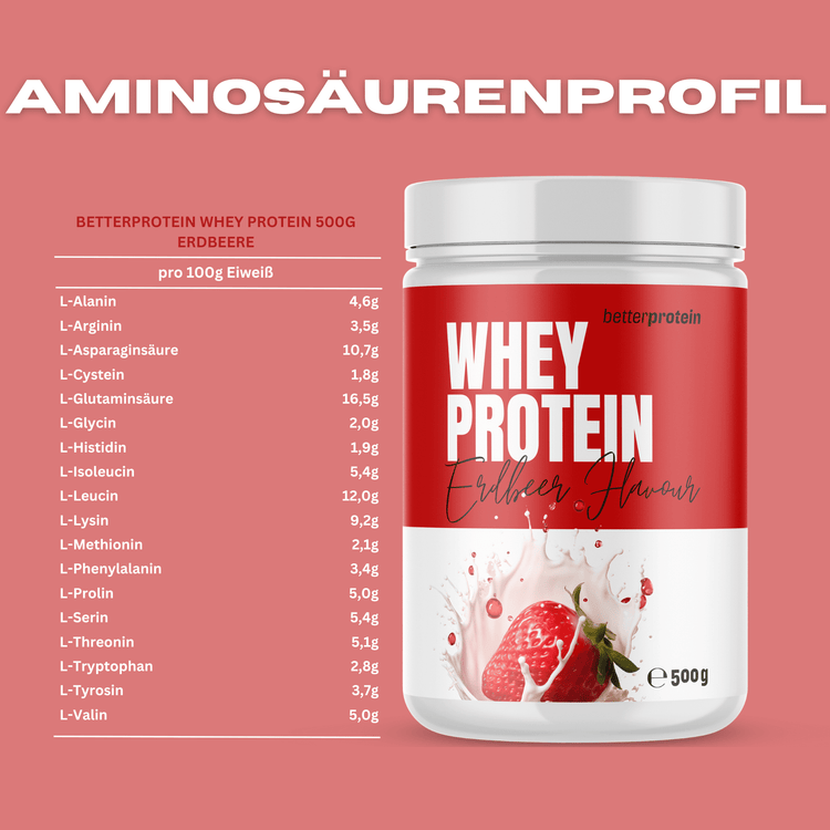 Whey Protein 500g