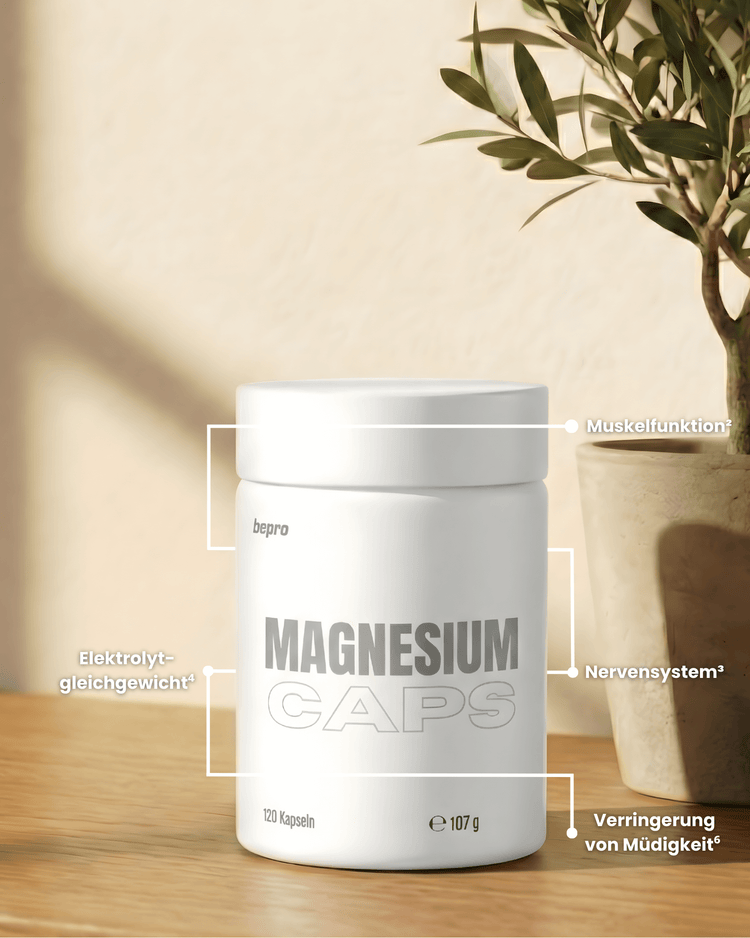 Magnesium Kapseln - 120 Stück