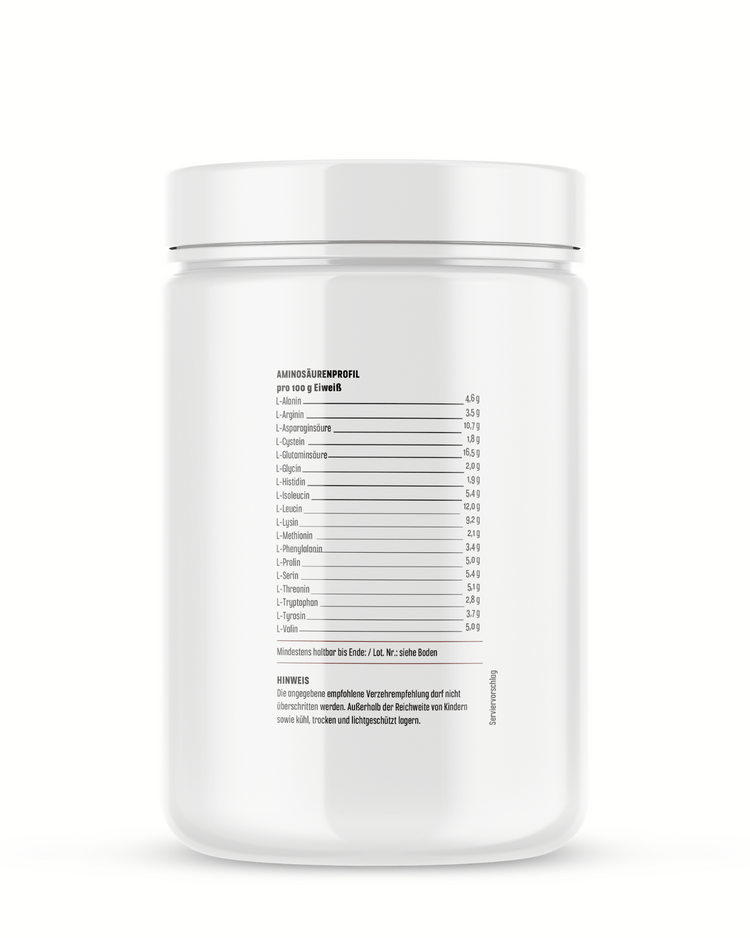 Whey Protein 500g
