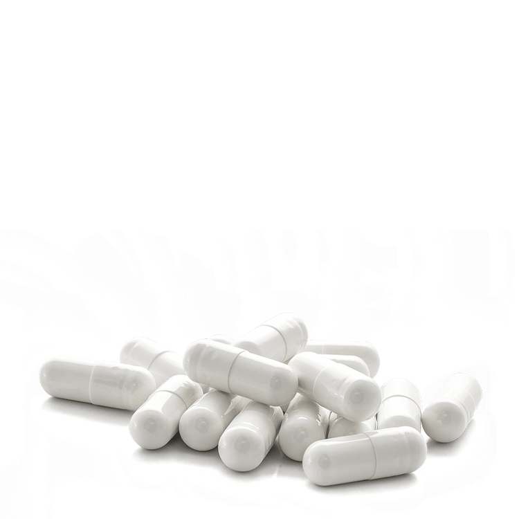 Creatine Kapseln 120 Stück