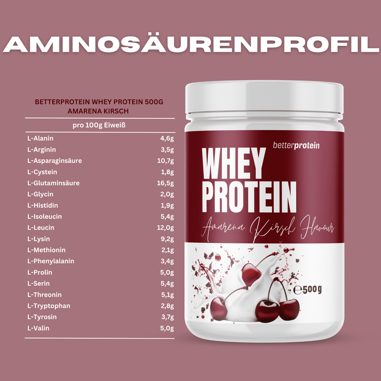 Whey Protein 500g