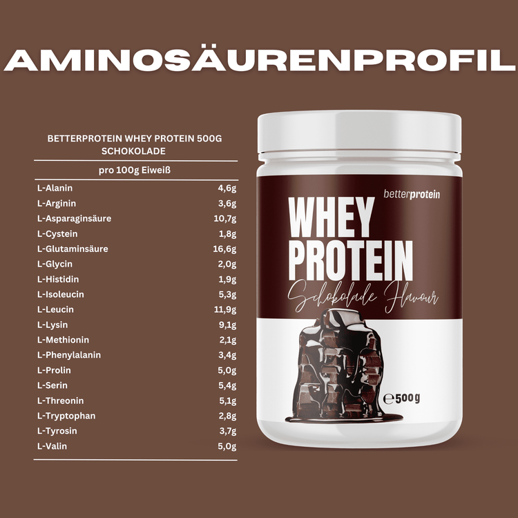 Whey Protein 500g