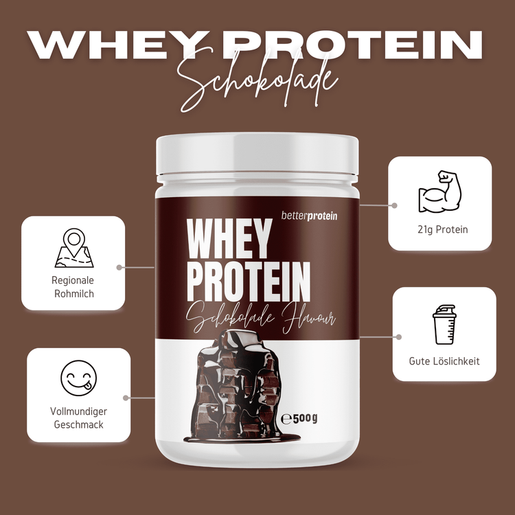 Whey Protein 500g