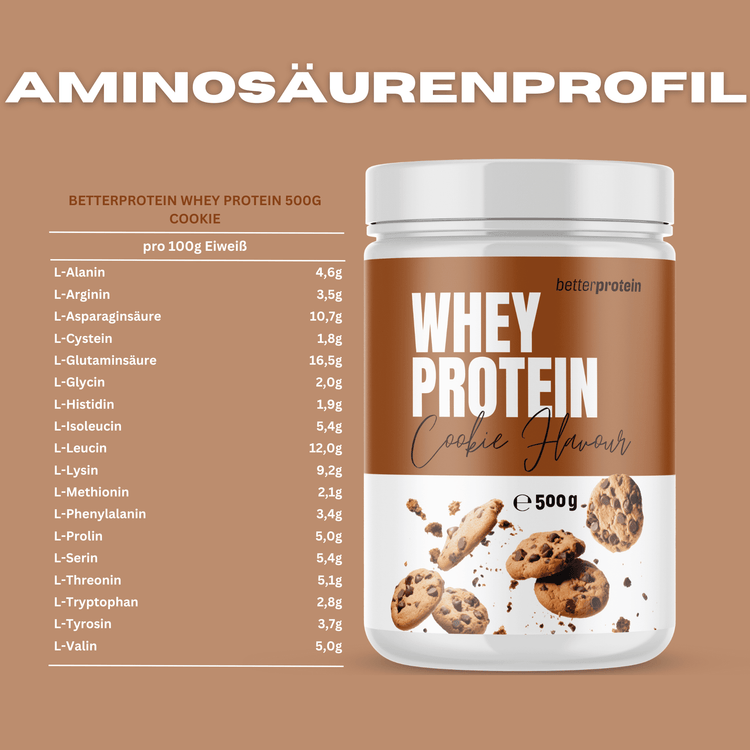 Whey Protein 500g