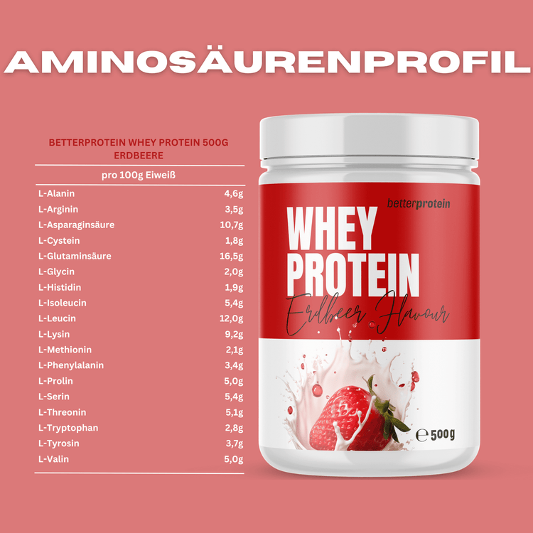 Whey Protein 500g