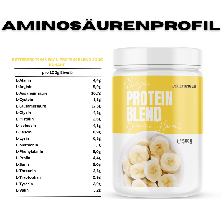 Vegan Protein Blend 500g