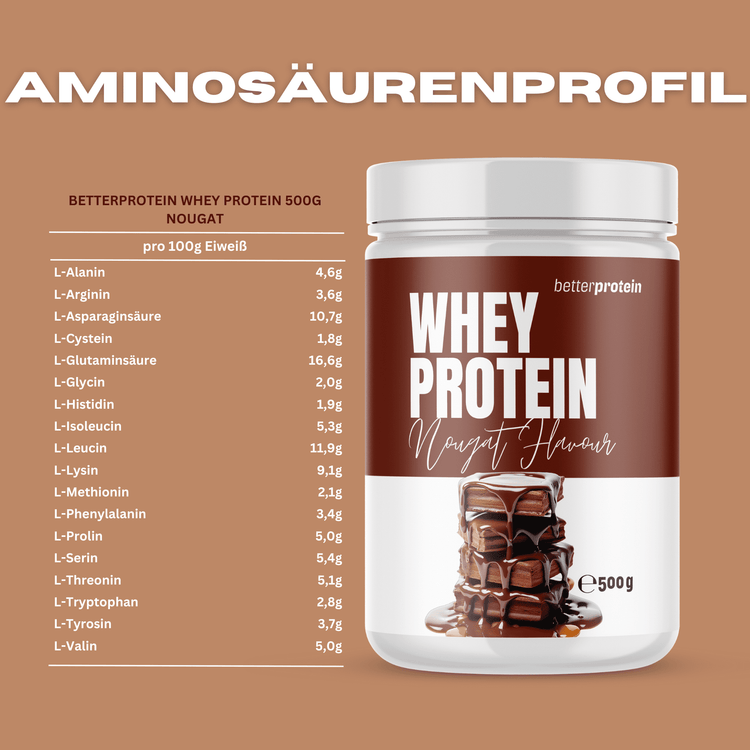 Whey Protein 500g