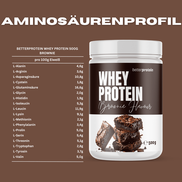 Whey Protein 500g