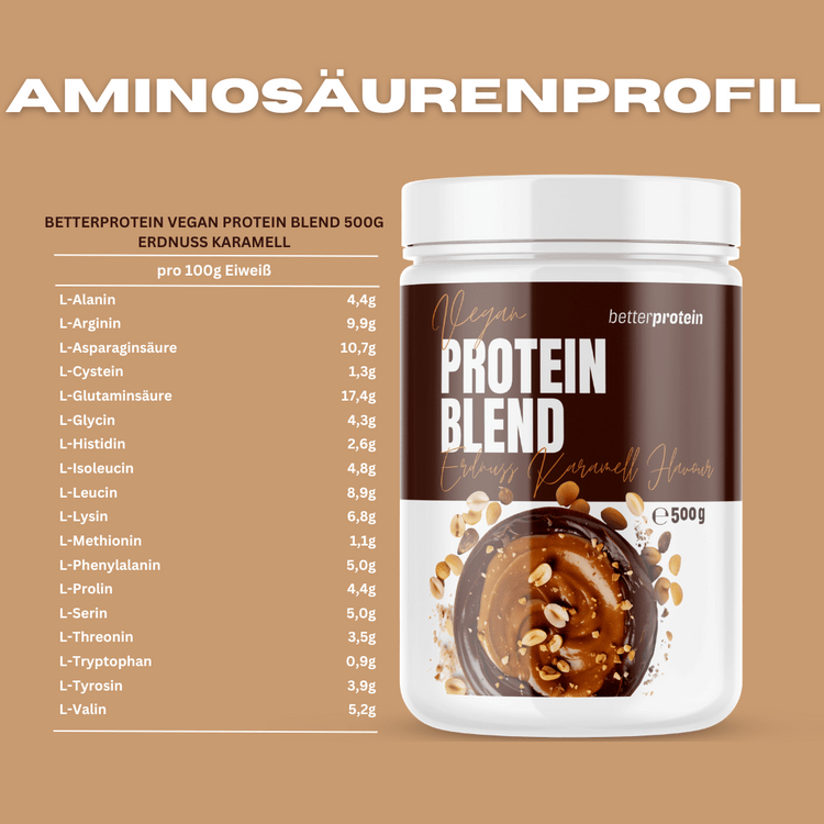 Vegan Protein Blend 500g