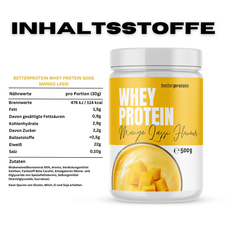 Whey Protein 500g