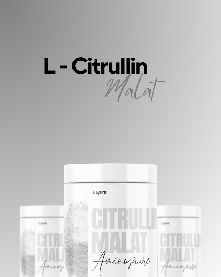 L - Citrullin Malat 500g